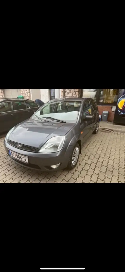 Ford Fiesta 1,4 TDCi Grau - 1