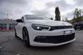 Volkswagen Scirocco Volkswagen Scirocco 1.4 TSI Benzina/GPL Bianco - thumbnail 4