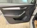 Skoda Karoq Ambition TDI DSG Grau - thumbnail 12