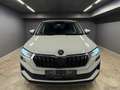 Skoda Karoq Ambition TDI DSG Grau - thumbnail 16