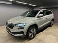 Skoda Karoq Ambition TDI DSG Grau - thumbnail 1