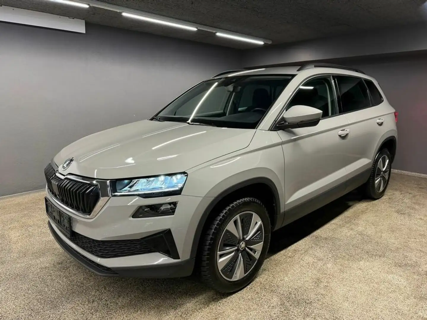 Skoda Karoq Ambition TDI DSG Grau - 1