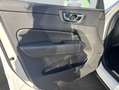 Volvo XC60 XC60 B5 B AWD Core Weiß - thumbnail 15