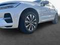 Volvo XC60 XC60 B5 B AWD Core Weiß - thumbnail 6