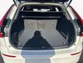 Volvo XC60 XC60 B5 B AWD Core Weiß - thumbnail 8