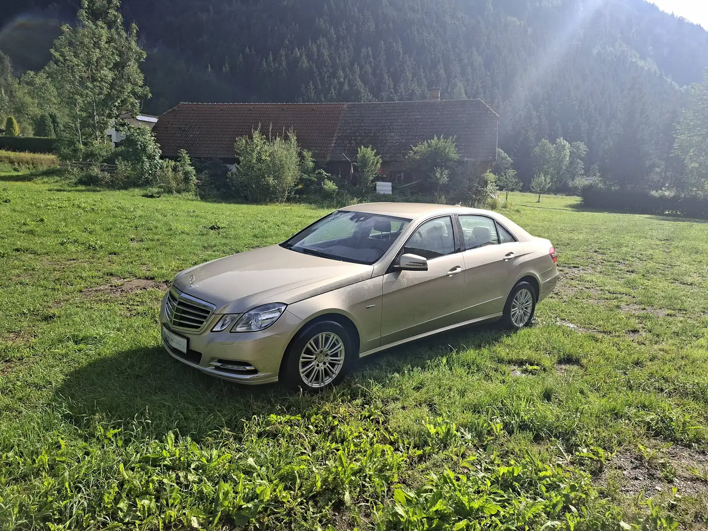 Mercedes-Benz E 300 E 300 Elegance BlueEfficiency CDI Aut. Elegance Gold - 1