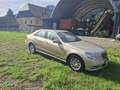 Mercedes-Benz E 300 E 300 Elegance BlueEfficiency CDI Aut. Elegance Gold - thumbnail 4