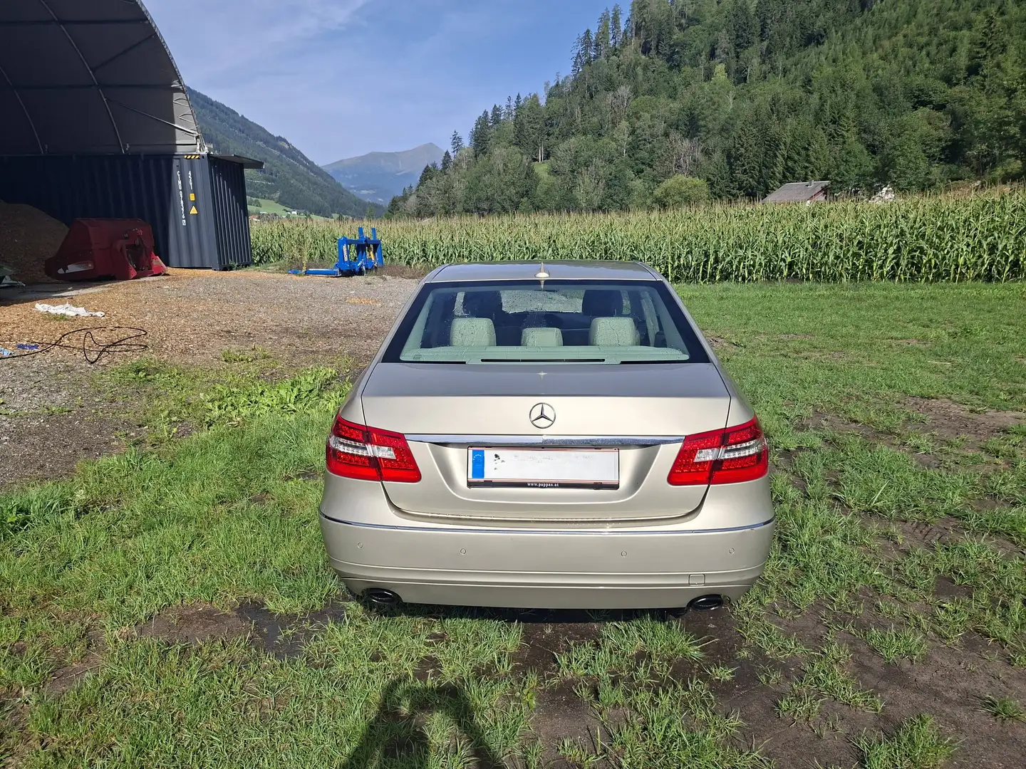 Mercedes-Benz E 300 E 300 Elegance BlueEfficiency CDI Aut. Elegance Gold - 2