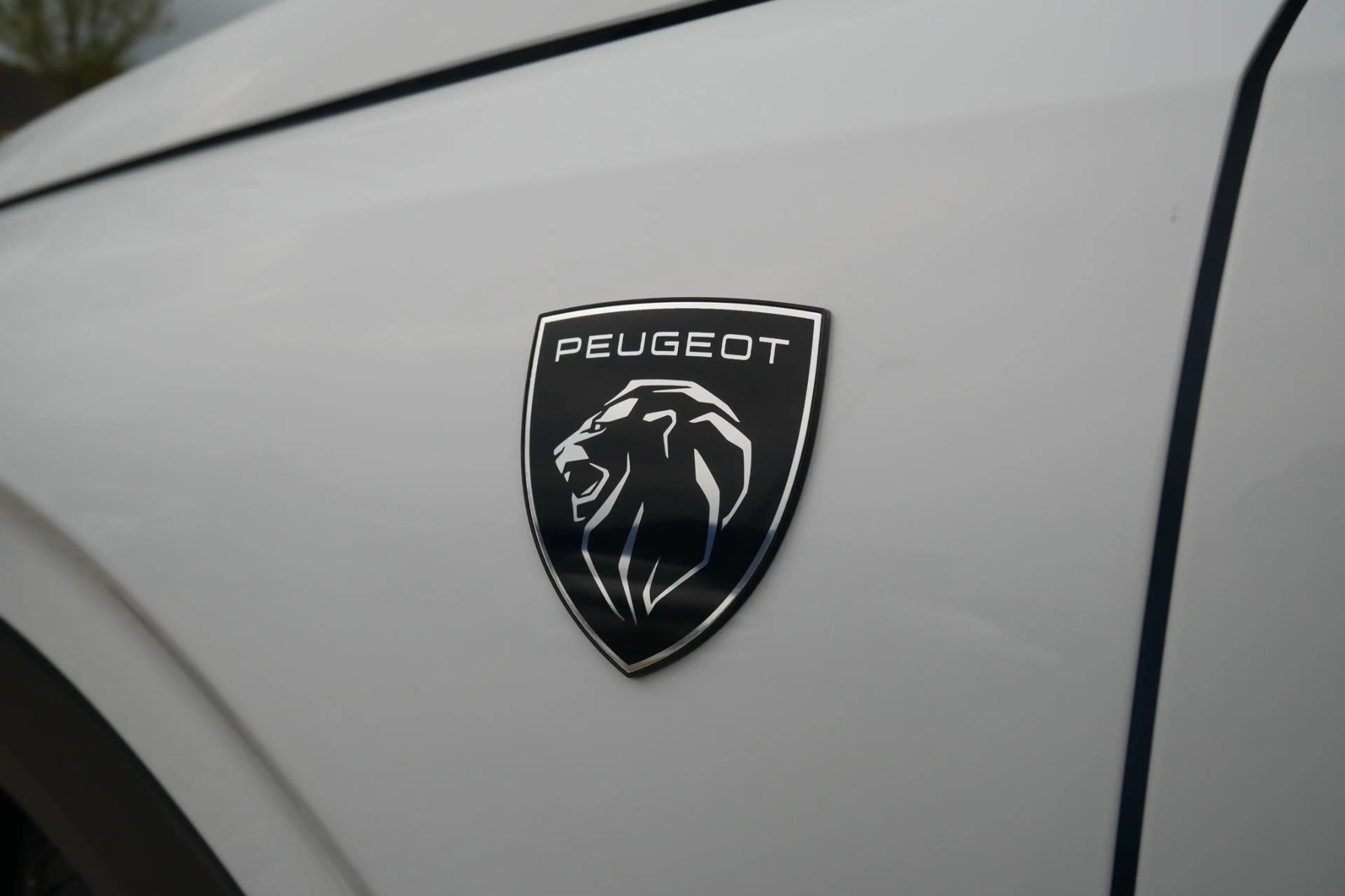 Peugeot 3008 1.2 Hybrid 136 GT | Camera | Stoel/Stuur Verwarmin — photo 11