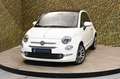 Fiat 500 1.0 Hybrid Star | Carplay | Cruise | Panorama Wit - thumbnail 1