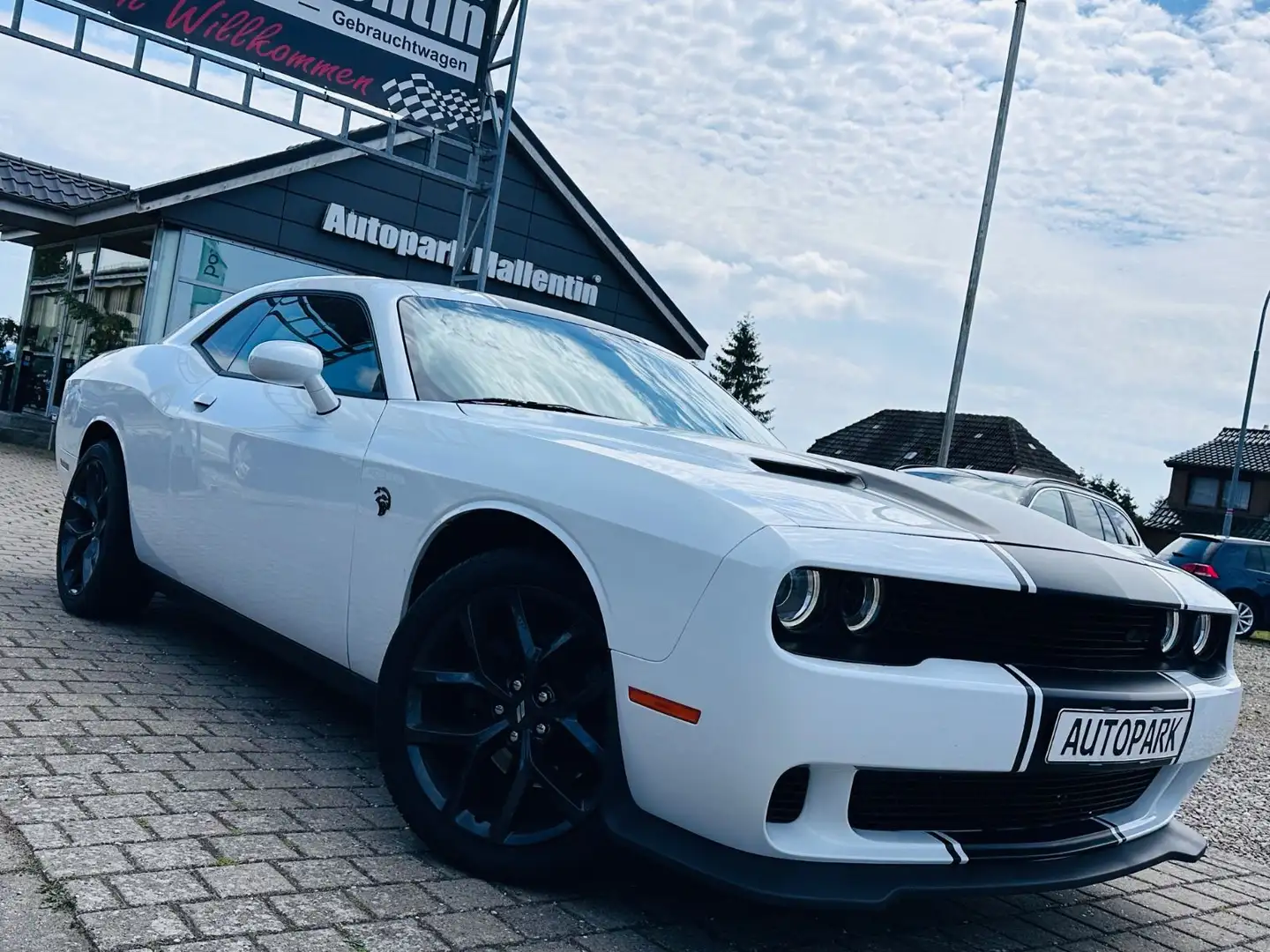 Dodge Challenger *LEDER*ALPINE*KAMERA* Weiß - 1