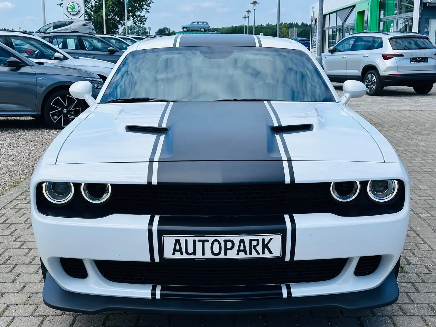 Dodge Challenger *LEDER*ALPINE*KAMERA* Weiß - 2