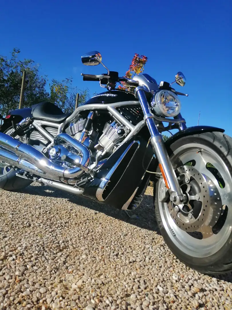 Harley-Davidson V-Rod Vrscaw Siyah - 1