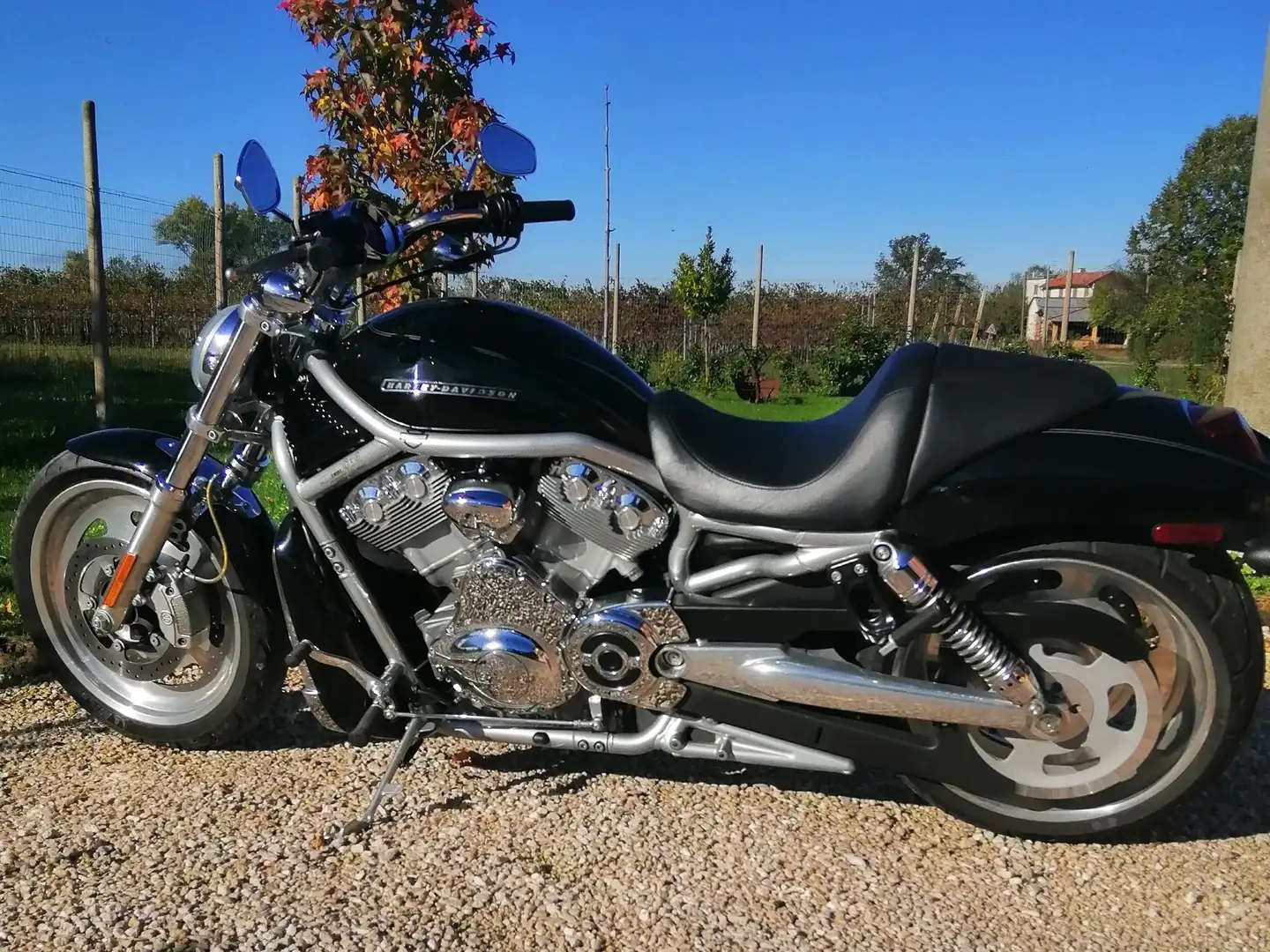 Harley-Davidson V-Rod Vrscaw Schwarz - 2