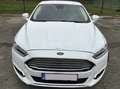 Ford Mondeo Mondeo 1.5 EcoBoost Start-Stop Business Edition Wit - thumbnail 2