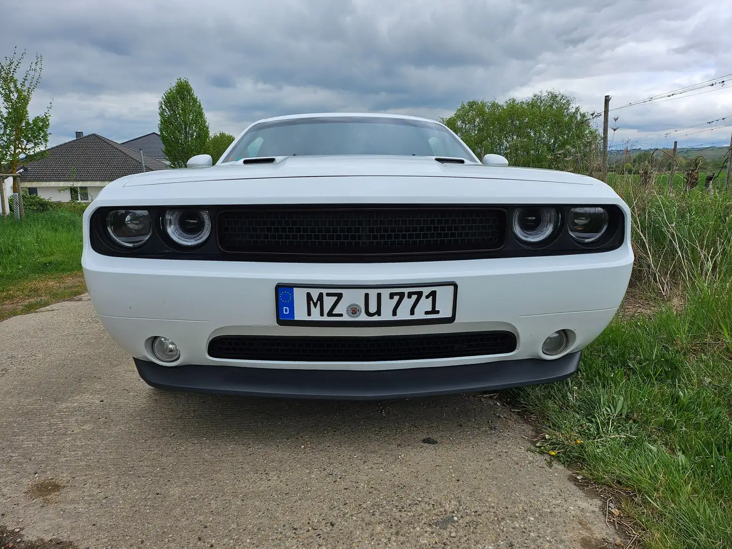 Dodge Challenger Challenger Automatik SXT Plus Bianco - 2