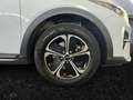 Kia XCeed 1.6 Vision FLA SpurH LED LM KeyLess PDC Weiß - thumbnail 15