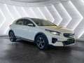 Kia XCeed 1.6 Vision FLA SpurH LED LM KeyLess PDC Weiß - thumbnail 8