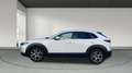 Mazda CX-30 2.0 Skyactiv-G Evolution 2WD 90kW Blanco - thumbnail 7