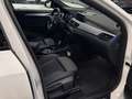 BMW X2 sdrive16d Msport X auto Bianco - thumbnail 8