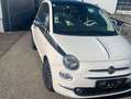 Fiat 500 500 ECO 1,2 69 Lounge Lounge Weiß - thumbnail 9