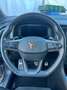CUPRA Ateca Ateca 2.0 TSI 4Drive DSG Grau - thumbnail 5