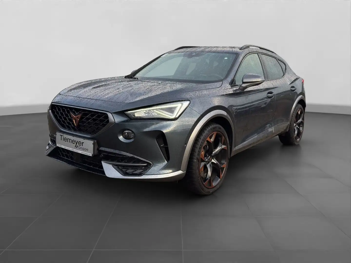 CUPRA Formentor VZ 2.0 TSI BREMBO PANO AHK BEATS eKLAP Grau - 2