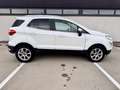 Ford EcoSport 1.0 EcoBoost Titanium | Cruise | Navi | Verw.stuur Wit - thumbnail 9
