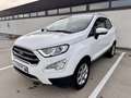 Ford EcoSport 1.0 EcoBoost Titanium | Cruise | Navi | Verw.stuur Wit - thumbnail 14