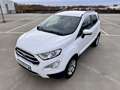 Ford EcoSport 1.0 EcoBoost Titanium | Cruise | Navi | Verw.stuur Wit - thumbnail 36