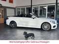 Mercedes-Benz C 200 AMG-Line*LED*Air-Scarf*Burmester*360°*2.Hd Weiß - thumbnail 23