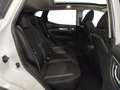 Nissan Qashqai 1.5 dci Tekna+ 115cv Bianco - thumbnail 21
