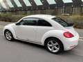 Volkswagen Beetle The Beetle 1.4 TSI Sport Blanc - thumbnail 2