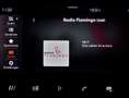 SEAT Ibiza Reference Edition 1.0 TSI Grau - thumbnail 12