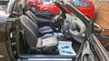 Ford Streetka 1.6 Volleder, Klima, Tüv Neu Noir - thumbnail 7