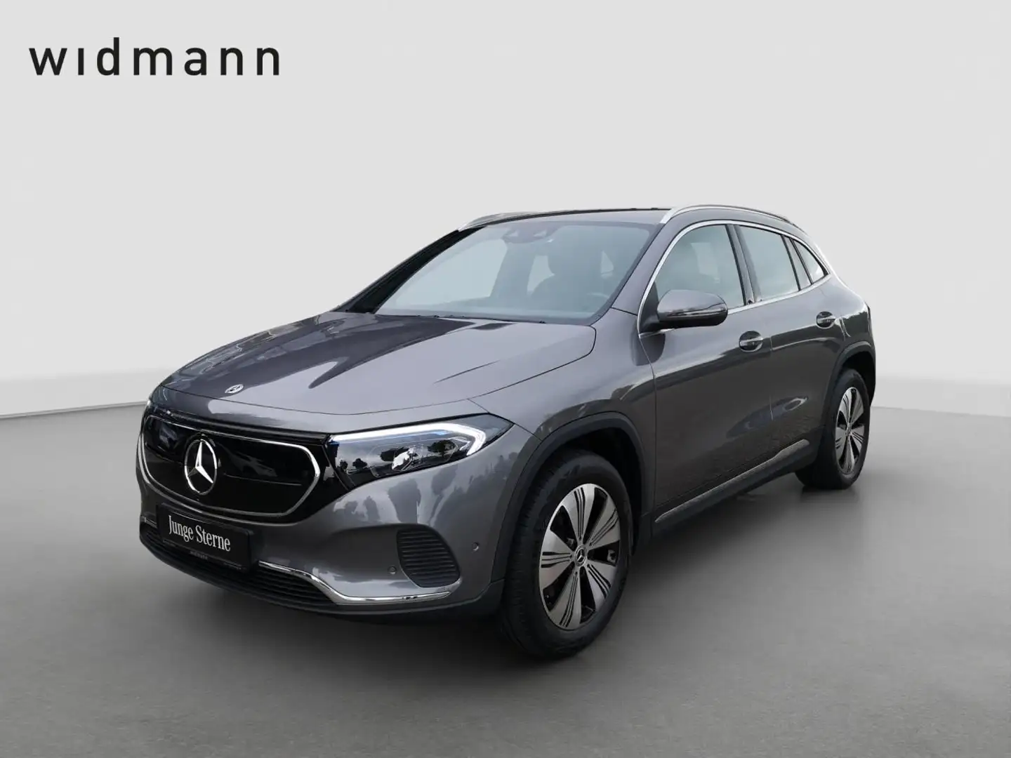 Mercedes-Benz EQA 300 4M *PTS*Kamera*LED*SpurH*Navigation*SHZ* Grau - 1