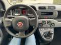 Fiat Panda 1.0 FireFly S&S Hybrid 70cv MT6 - OK Neopatentati Grijs - thumbnail 11