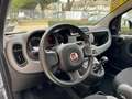 Fiat Panda 1.0 FireFly S&S Hybrid 70cv MT6 - OK Neopatentati Grigio - thumbnail 10