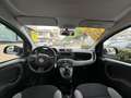 Fiat Panda 1.0 FireFly S&S Hybrid 70cv MT6 - OK Neopatentati Gris - thumbnail 7