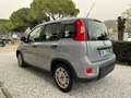 Fiat Panda 1.0 FireFly S&S Hybrid 70cv MT6 - OK Neopatentati Grigio - thumbnail 4