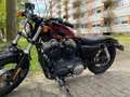 Harley-Davidson Sportster Forty Eight Rot - thumbnail 3