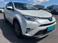 Toyota RAV 4 2,5 Hybrid Lounge 4WD Aut. Weiß - thumbnail 3