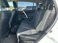 Toyota RAV 4 2,5 Hybrid Lounge 4WD Aut. Weiß - thumbnail 10