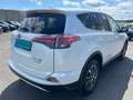 Toyota RAV 4 2,5 Hybrid Lounge 4WD Aut. Weiß - thumbnail 4