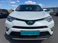 Toyota RAV 4 2,5 Hybrid Lounge 4WD Aut. Weiß - thumbnail 2