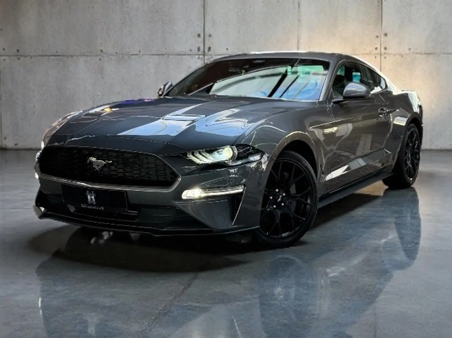 Ford Mustang 2,3 EcoBoost Autom. Neuwertig + Garantie Gris - 1