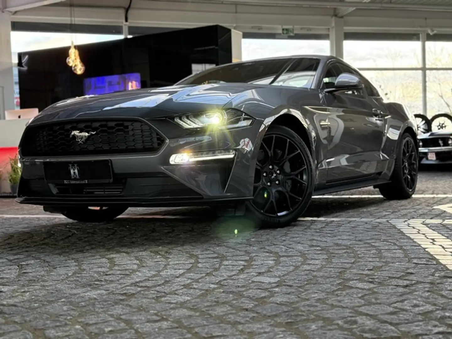 Ford Mustang 2,3 EcoBoost Autom. Neuwertig + Garantie Gris - 2