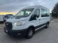 Ford Transit 310 L2H2 Trend 2.0TDCi 130CV POSTI  Auto - GA426AS Bianco - thumbnail 2