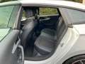 Audi A5 Sportback 40 TFSI S LINE MATRIX-LED VIRTUELL Weiß - thumbnail 15