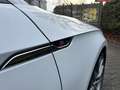Audi A5 Sportback 40 TFSI S LINE MATRIX-LED VIRTUELL Weiß - thumbnail 12